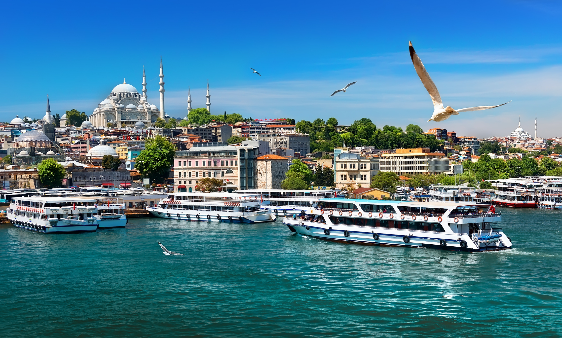 Cruzeiro no Bósforo, Istambul, Turquia Cruzeiro no Bósforo, Istambul, Turquia