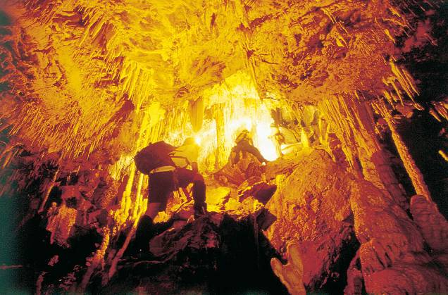 Em um passeio por <a href="https://preprod.viagemeturismo.abril.com.br/estados/goias/">Goiás</a>, o Parque Terra Ronca pode ser incluído no roteiro se você também pretende visitar a <a href="https://preprod.viagemeturismo.abril.com.br/cidades/chapada-dos-veadeiros/">Chapada dos Veadeiros</a> Em um passeio por <a href="https://preprod.viagemeturismo.abril.com.br/estados/goias/">Goiás</a>, o Parque Terra Ronca pode ser incluído no roteiro se você também pretende visitar a <a href="https://preprod.viagemeturismo.abril.com.br/cidades/chapada-dos-veadeiros/">Chapada dos Veadeiros</a>
