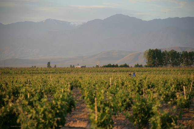 <strong>Mendoza – 3 noites – R$ 634</strong><br /> <br /> Além da hospedagem no hotel Diplomatic (com café da manhã), traslados de chegada e saída, e seguro Travel Ace, você tem direito a meio dia de excursão nas bodegas e na Igreja La Carrodilla. <br /> <br /> <strong>Quando: </strong>saída de 2 de abril a 30 de junho<br /> <strong>Pagamento: </strong>parcelado em 10 vezes sem juros<br /> <strong>Quem leva: </strong>a <strong>Agaxtur</strong> (11/3067-0900, <a href="https://www.agaxtur.com.br" rel="www.agaxtur.com.br" target="_blank">www.agaxtur.com.br</a>)<br /> <br /> <strong>Mendoza – 3 noites – R$ 634</strong><br /> <br /> Além da hospedagem no hotel Diplomatic (com café da manhã), traslados de chegada e saída, e seguro Travel Ace, você tem direito a meio dia de excursão nas bodegas e na Igreja La Carrodilla. <br /> <br /> <strong>Quando: </strong>saída de 2 de abril a 30 de junho<br /> <strong>Pagamento: </strong>parcelado em 10 vezes sem juros<br /> <strong>Quem leva: </strong>a <strong>Agaxtur</strong> (11/3067-0900, <a href="https://www.agaxtur.com.br" rel="www.agaxtur.com.br" target="_blank">www.agaxtur.com.br</a>)<br /> <br />