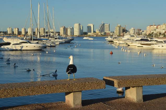Os iates do Porto de Punta, visão reconfortante para quem fica nos edifícios da Playa Mansa Os iates do Porto de Punta, visão reconfortante para quem fica nos edifícios da Playa Mansa