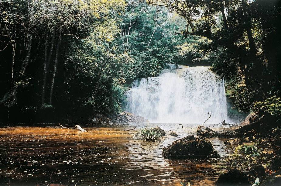 As cachoeiras no meio da floresta agradam os turistas que buscam um contato com a selva. Existem opções de trilhas curtas e acessíveis e outras com grau de dificuldade maior. <a href="https://www.booking.com/searchresults.pt-br.html?aid=332455&lang=pt-br&sid=eedbe6de09e709d664615ac6f1b39a5d&sb=1&src=searchresults&src_elem=sb&error_url=https%3A%2F%2Fwww.booking.com%2Fsearchresults.pt-br.html%3Faid%3D332455%3Bsid%3Deedbe6de09e709d664615ac6f1b39a5d%3Bcity%3D-659448%3Bclass_interval%3D1%3Bdest_id%3D-624298%3Bdest_type%3Dcity%3Bdtdisc%3D0%3Bfrom_sf%3D1%3Bgroup_adults%3D2%3Bgroup_children%3D0%3Binac%3D0%3Bindex_postcard%3D0%3Blabel_click%3Dundef%3Bno_rooms%3D1%3Boffset%3D0%3Bpostcard%3D0%3Braw_dest_type%3Dcity%3Broom1%3DA%252CA%3Bsb_price_type%3Dtotal%3Bsearch_selected%3D1%3Bsrc%3Dsearchresults%3Bsrc_elem%3Dsb%3Bss%3DAlter%2520do%2520Ch%25C3%25A3o%252C%2520%25E2%2580%258BPar%25C3%25A1%252C%2520%25E2%2580%258BBrasil%3Bss_all%3D0%3Bss_raw%3DAlter%2520do%2520Ch%25C3%25A3o%3Bssb%3Dempty%3Bsshis%3D0%3Bssne_untouched%3DParana%25C3%25ADba%26%3B&ss=Presidente+Figueiredo%2C+%E2%80%8BAmazonas%2C+%E2%80%8BBrasil&ssne=Alter+do+Ch%C3%A3o&ssne_untouched=Alter+do+Ch%C3%A3o&city=-624298&checkin_monthday=&checkin_month=&checkin_year=&checkout_monthday=&checkout_month=&checkout_year=&no_rooms=1&group_adults=2&group_children=0&highlighted_hotels=&from_sf=1&ss_raw=Presidente+Figueiredo&ac_position=0&ac_langcode=xb&dest_id=18959&dest_type=city&search_pageview_id=0a9e7115115103aa&search_selected=true&search_pageview_id=0a9e7115115103aa&ac_suggestion_list_length=2&ac_suggestion_theme_list_length=0" target="_blank" rel="noopener"><em>Busque hospedagens em Presidente Figueiredo</em></a>