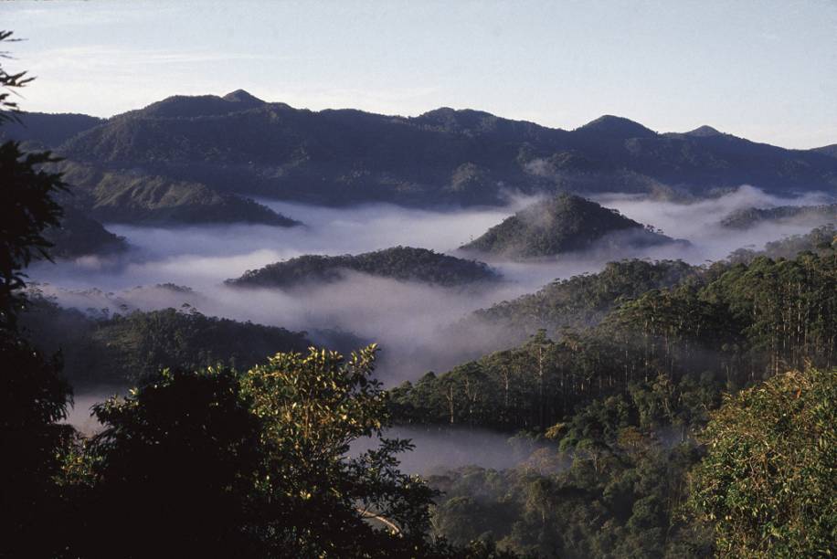 Reserva Ecológica de Macaé de Cima