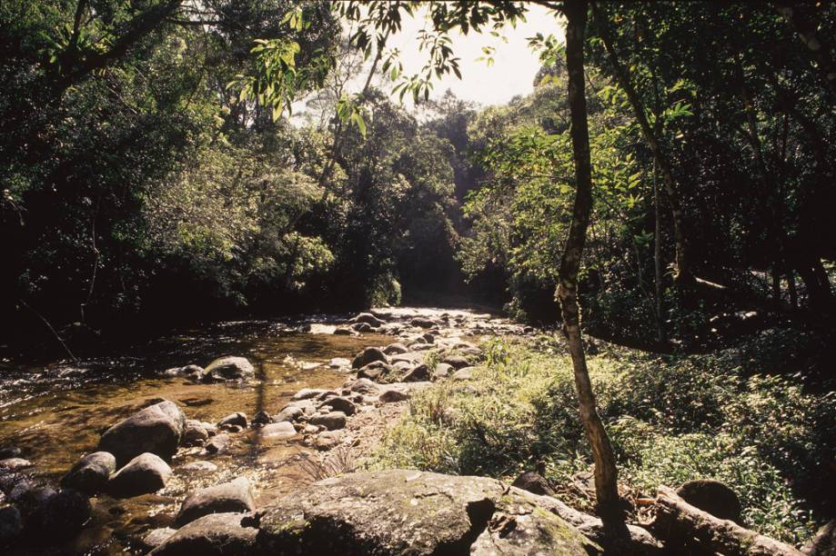 Reserva Ecológica de Macaé de Cima