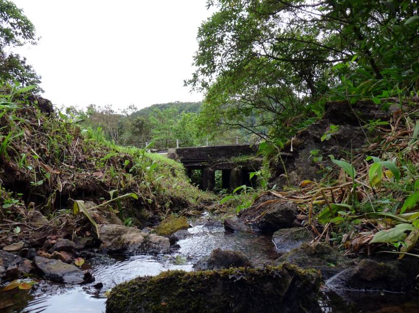 Essa estrada de 75 km de Salesópolis à estrada Rio-Santos entre as cidades praianas de Caraguatatuba (+10 km) e São Joaquim (+17 km). Ela é também conhecida como “Estrada da Petrobrás”, usada em algumas ocasiões por funcionários da empresa. Na maior parte do tempo, as bicicletas são os únicos veículos nessa rota que passa por dentro do <a href="https://viajeaqui.abril.com.br/estabelecimentos/br-sp-caraguatatuba-atracao-parque-estadual-da-serra-do-mar-nucleo-caraguatatuba" target="_blank">Parque Estadual da Serra do Mar</a>. No começo do trajeto, há subidas bastante íngremes, mas a estrada está em boas condições e, depois do primeiro terço do caminho, há muito mais descidas (e a bela vista da Serra do Mar em seu estado bruto)