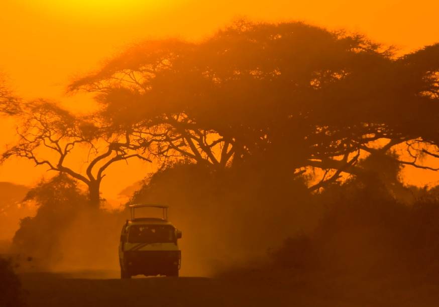 A palavra safári, em swahili, a língua oficial da Tanzânia, significa jornada. Esse é provavelmente o mais gratificante passeio que pode ser feito no país e a possibilidade de ver grandes animais são bem consideráveis