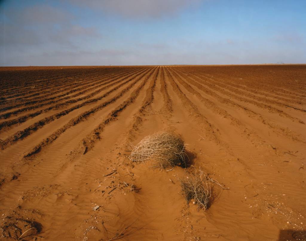 Arbustos secos em Brownfield, Lubbock - Edição 150 - Deu a louca no tempo
