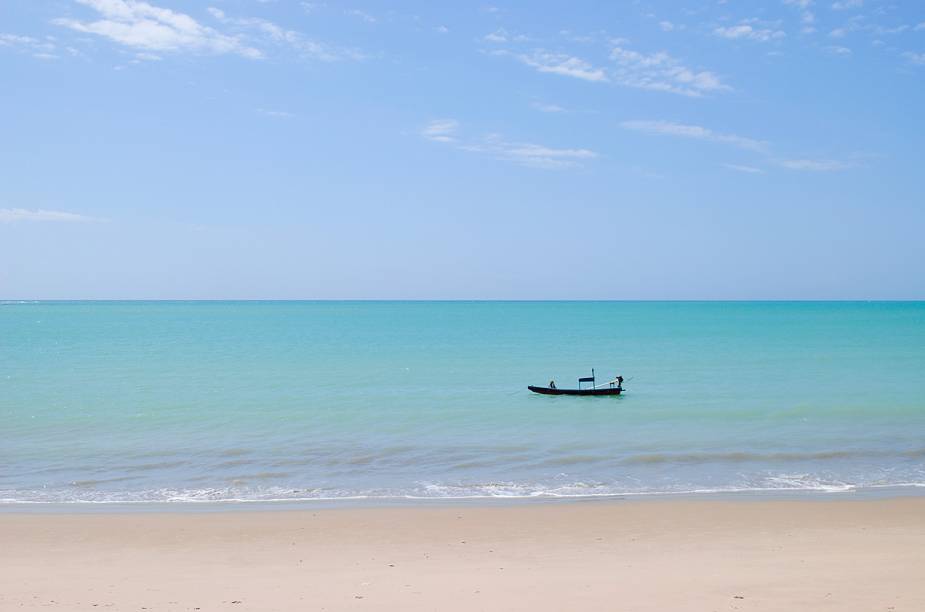 O fundo do mar da praia de Ipioca é repleto de bolachas-do-mar