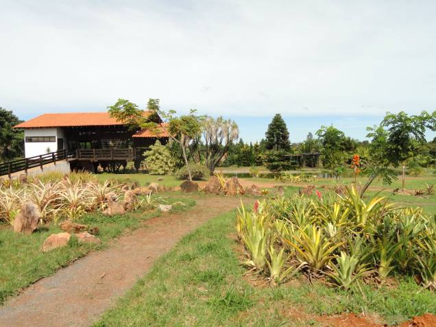 <strong>12. Jardim Botânico de Brasília</strong>O primeiro jardim Botânico do Brasil com um ecossistema predominante de cerrado. Tem quase 4.500 hectares, porém só 500 deles estão abertos a visitação. No Jardim Botânico é possível conhecer as flores e frutas típicas do cerrado, fazer trilha educativa de 4.500 metros e caminhar pelas diversas atrações, como o Museu de História Natural, a Casa de Chá, o Bosque dos Ipês (especialmente belo durante a floração, no inverno), o orquidário Espaço Guido Pabst, entre outros.<strong>Entrada a 5 reais, </strong>crianças até 12 anos, mais de 60 anos e pessoas com deficiência não pagam.<strong>Horários de visitação:</strong> de terça a domingo de 6h30 às 17h (de 6h30 às 8h50 o acesso é gratuito e restrito a pedestres e ciclistas) <strong>12. Jardim Botânico de Brasília</strong>O primeiro jardim Botânico do Brasil com um ecossistema predominante de cerrado. Tem quase 4.500 hectares, porém só 500 deles estão abertos a visitação. No Jardim Botânico é possível conhecer as flores e frutas típicas do cerrado, fazer trilha educativa de 4.500 metros e caminhar pelas diversas atrações, como o Museu de História Natural, a Casa de Chá, o Bosque dos Ipês (especialmente belo durante a floração, no inverno), o orquidário Espaço Guido Pabst, entre outros.<strong>Entrada a 5 reais, </strong>crianças até 12 anos, mais de 60 anos e pessoas com deficiência não pagam.<strong>Horários de visitação:</strong> de terça a domingo de 6h30 às 17h (de 6h30 às 8h50 o acesso é gratuito e restrito a pedestres e ciclistas)