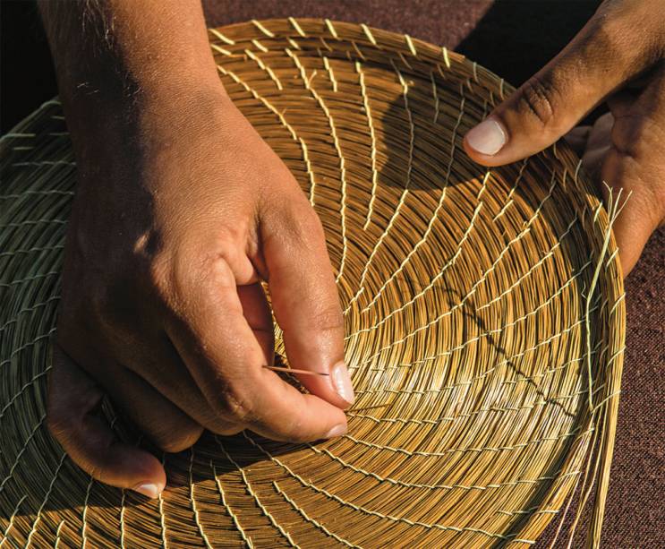 Criança praticando arvorismo na Fazenda Estância Peraltas, Brotas (SP)