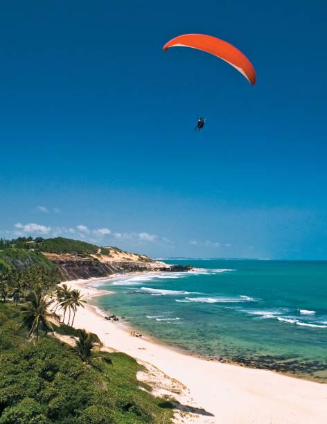 <strong><a href="https://viajeaqui.abril.com.br/cidades/br-rn-praia-da-pipa/fotos" rel="PRAIA DA PIPA" target="_blank">PRAIA DA PIPA</a> (<a href="https://viajeaqui.abril.com.br/estados/br-rio-grande-do-norte" rel="RN" target="_blank">RN</a>)</strong> Antiga vila de pescadores, o badalado destino do Rio Grande do Norte divide as atenções entre a sua vida noturna e o mar em diferentes tons de azul, emoldurado por belas falésias e visitado por tartarugas-marinhas e golfInhos. As sete noites são no <a href="https://www.hoteldapipa.com/" rel="Hotel da Pipa" target="_blank">Hotel da Pipa</a>, midscale pé-na-areia. <strong>QUANDO: </strong>Até dezembro <strong>QUEM LEVA:</strong> <a href="https://www.latamtravel.com/pt_br#&panel1-1" rel="Latam Travel" target="_blank">Latam Travel</a> <strong>QUANTO:</strong> R$ 2 045 <strong><a href="https://viajeaqui.abril.com.br/cidades/br-rn-praia-da-pipa/fotos" rel="PRAIA DA PIPA" target="_blank">PRAIA DA PIPA</a> (<a href="https://viajeaqui.abril.com.br/estados/br-rio-grande-do-norte" rel="RN" target="_blank">RN</a>)</strong> Antiga vila de pescadores, o badalado destino do Rio Grande do Norte divide as atenções entre a sua vida noturna e o mar em diferentes tons de azul, emoldurado por belas falésias e visitado por tartarugas-marinhas e golfInhos. As sete noites são no <a href="https://www.hoteldapipa.com/" rel="Hotel da Pipa" target="_blank">Hotel da Pipa</a>, midscale pé-na-areia. <strong>QUANDO: </strong>Até dezembro <strong>QUEM LEVA:</strong> <a href="https://www.latamtravel.com/pt_br#&panel1-1" rel="Latam Travel" target="_blank">Latam Travel</a> <strong>QUANTO:</strong> R$ 2 045