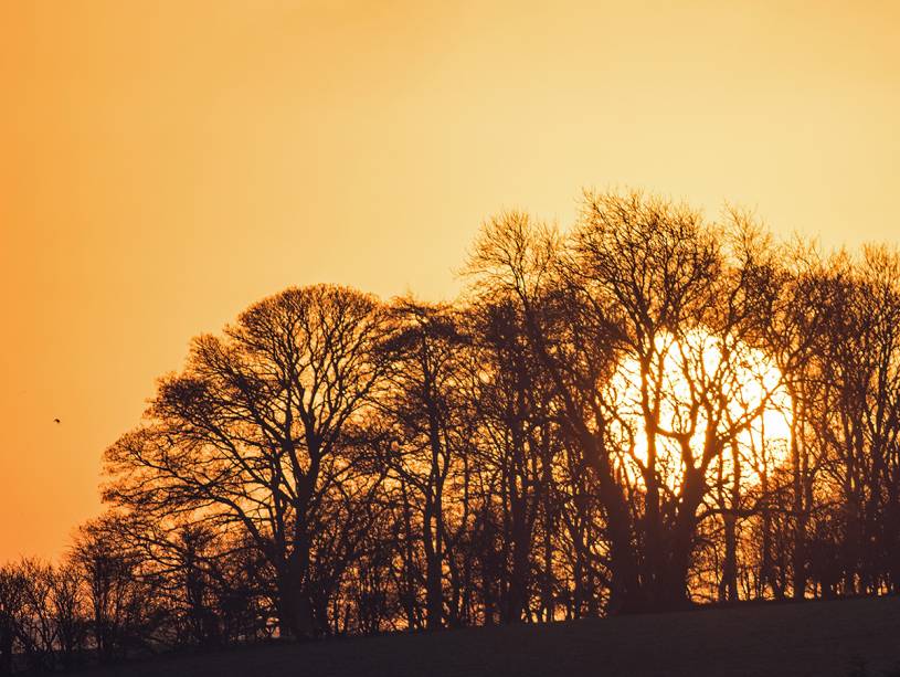 O amanhecer e o entardecer são os melhores horários para se estar em Costwolds: a paisagem fica ainda mais bonita