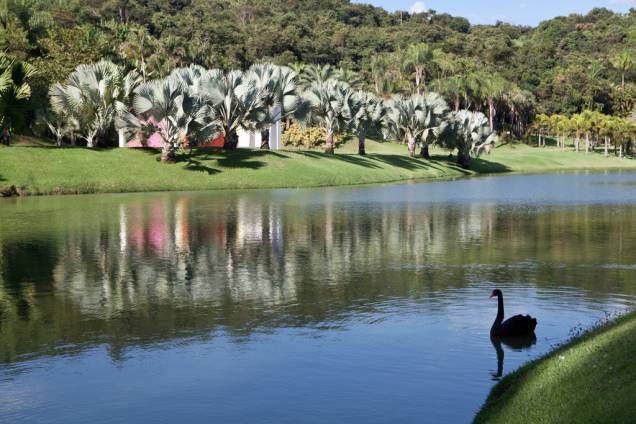 Dono do Instituto Inhotim, o minerador e mecenas Bernardo Paz dedicou 90 milhões de dólares à arte contemporânea e criou um jardim dos sonhos para recebê-la Dono do Instituto Inhotim, o minerador e mecenas Bernardo Paz dedicou 90 milhões de dólares à arte contemporânea e criou um jardim dos sonhos para recebê-la