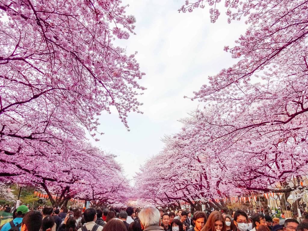 Parque Ueno – Tóquio, Japão Parque Ueno - Tóquio, Japão