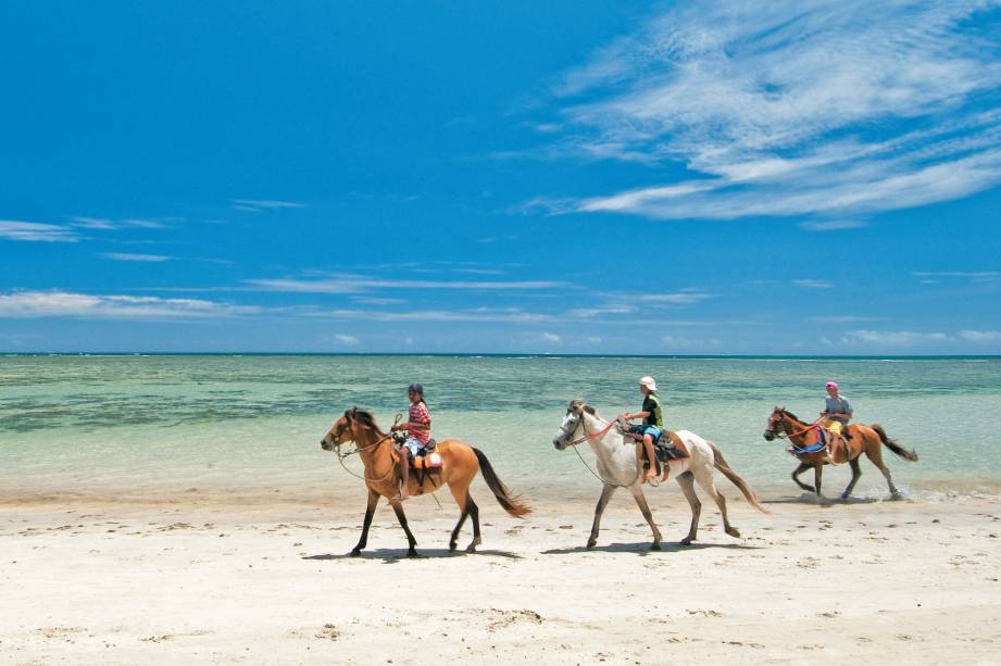 Amendoeiras garantem a sombra em <strong>Moreré</strong>, na <strong>Ilha de Boipeba</strong>, <strong>Bahia</strong>. E no mar, a atração são as piscinas naturais. Visitantes costumam chegar aqui em passeios de barco partindo de Morro de São Paulo. Se vier a pé, cruze o Rio Oritibe na maré baixa e use calçado para não cortar o pé com as ostras do fundo. <a href="https://www.booking.com/searchresults.pt-br.html?aid=332455&lang=pt-br&sid=eedbe6de09e709d664615ac6f1b39a5d&sb=1&src=index&src_elem=sb&error_url=https%3A%2F%2Fwww.booking.com%2Findex.pt-br.html%3Faid%3D332455%3Bsid%3Deedbe6de09e709d664615ac6f1b39a5d%3Bsb_price_type%3Dtotal%26%3B&ss=Praia+de+Morer%C3%A9%2C+Ilha+de+Boipeba%2C+Bahia%2C+Brasil&checkin_monthday=&checkin_month=&checkin_year=&checkout_monthday=&checkout_month=&checkout_year=&no_rooms=1&group_adults=2&group_children=0&from_sf=1&ss_raw=Morer%C3%A9%2C+Ilha+de+&ac_position=0&ac_langcode=xb&dest_id=248206&dest_type=landmark&search_pageview_id=5af388e3b79f007b&search_selected=true&search_pageview_id=5af388e3b79f007b&ac_suggestion_list_length=5&ac_suggestion_theme_list_length=0&map=1#map_closed" target="_blank" rel="noopener"><em>Busque hospedagens na Praia de Moreré.</em></a>