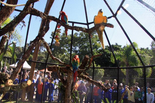 <a href="https://viajeaqui.abril.com.br/estabelecimentos/br-pr-curitiba-atracao-zoologico-parque-regional-do-iguacu" rel="Zoológico (Parque Regional do Iguaçu):"><strong>Zoológico (Parque Regional do Iguaçu):</strong></a> abriga mais de três mil animais de cerca de 80 espécies – algumas em risco de extinção, como o lobo-guará e a harpia, uma rara ave de rapina. Rua João Miqueletto (Alto Boqueirão). De terça a domingo, das 09h às 17h <a href="https://viajeaqui.abril.com.br/estabelecimentos/br-pr-curitiba-atracao-zoologico-parque-regional-do-iguacu" rel="Zoológico (Parque Regional do Iguaçu):"><strong>Zoológico (Parque Regional do Iguaçu):</strong></a> abriga mais de três mil animais de cerca de 80 espécies – algumas em risco de extinção, como o lobo-guará e a harpia, uma rara ave de rapina. Rua João Miqueletto (Alto Boqueirão). De terça a domingo, das 09h às 17h
