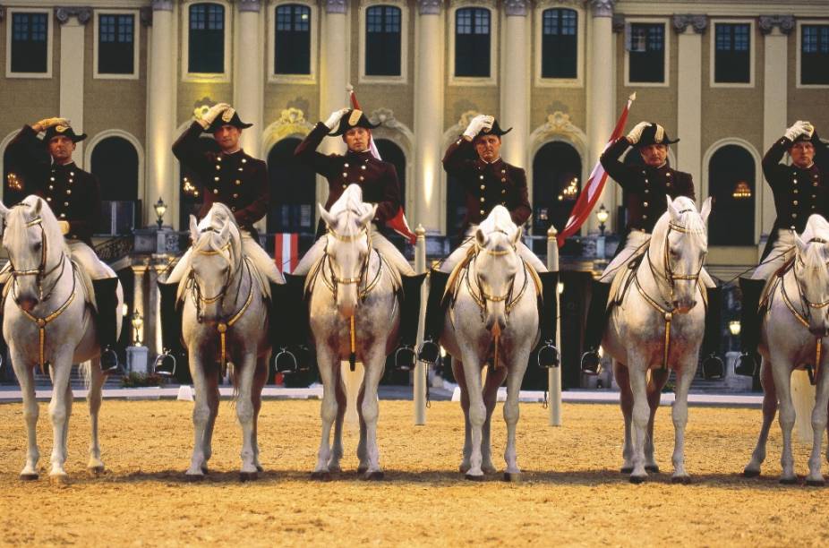 Apresenta&ccedil;&atilde;o da Escola Espanhola de Cavalaria no Pal&aacute;cio Sch&ouml;nbrunn