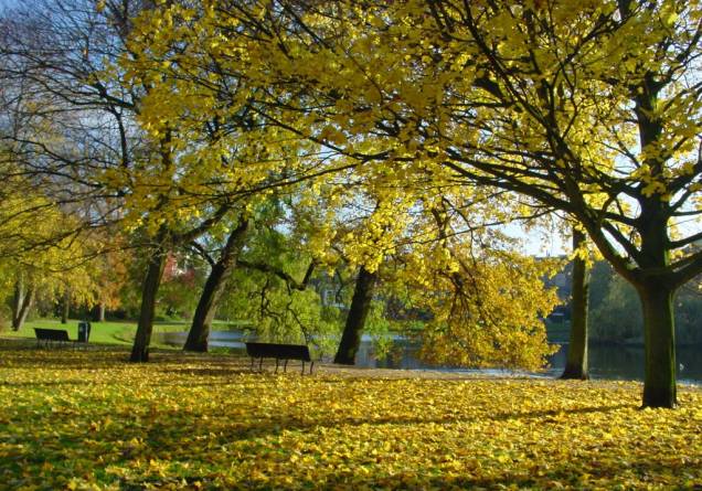 <a href="https://viajeaqui.abril.com.br/estabelecimentos/holanda-amsterda-atracao-vondelpark" rel="Vondelpark" target="_blank">Vondelpark</a> é o lugar ideal para descansar as pernas do "para e anda" das visitas a museus de Amsterdã <a href="https://viajeaqui.abril.com.br/estabelecimentos/holanda-amsterda-atracao-vondelpark" rel="Vondelpark" target="_blank">Vondelpark</a> é o lugar ideal para descansar as pernas do "para e anda" das visitas a museus de Amsterdã