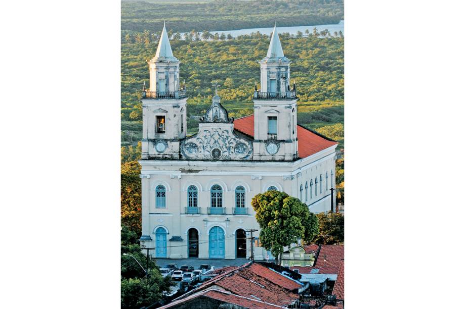 Durante um <strong>cruzeiro pela <a href="https://viajeaqui.abril.com.br/materias/a-forca-da-patagonia" rel="Patagônia " target="_self">Patagônia</a></strong> é póssível fotografar elefantes-marinhos bem de perto na Baía de Ainsworth