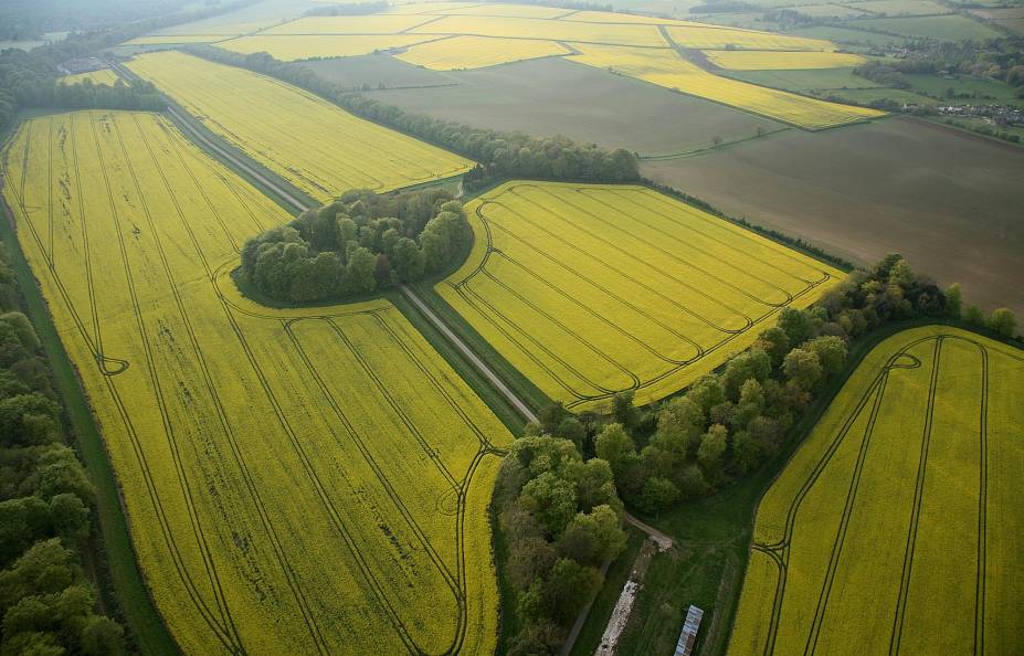 De cima de um balão, a vista que se tem dos campos agrícolas de Cotswolds é esta