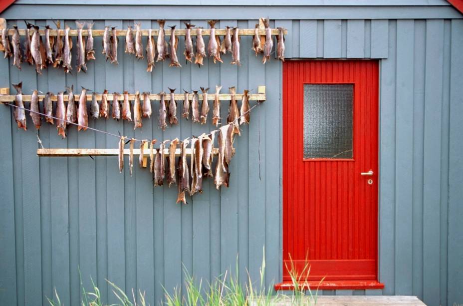 Por muitos anos a <strong>Noruega </strong>foi altamente dependente de sua indústria pesqueira, fortemente simbolizada pela presença de arenque e bacalhau em mesas de todo o mundo. Hoje, boa parte do estado de bem estar social é movido pelo petróleo de seus poços em alto mar Por muitos anos a <strong>Noruega </strong>foi altamente dependente de sua indústria pesqueira, fortemente simbolizada pela presença de arenque e bacalhau em mesas de todo o mundo. Hoje, boa parte do estado de bem estar social é movido pelo petróleo de seus poços em alto mar