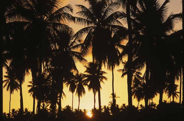 <a href="https://viajeaqui.abril.com.br/estados/br-bahia" rel="Bahia:"><strong>Bahia:</strong></a> Uma boa opção para o entardecer na Bahia é a Praia do Forte, são 14km de praia preservada. <a href="https://viajeaqui.abril.com.br/estados/br-bahia" rel="Bahia:"><strong>Bahia:</strong></a> Uma boa opção para o entardecer na Bahia é a Praia do Forte, são 14km de praia preservada.