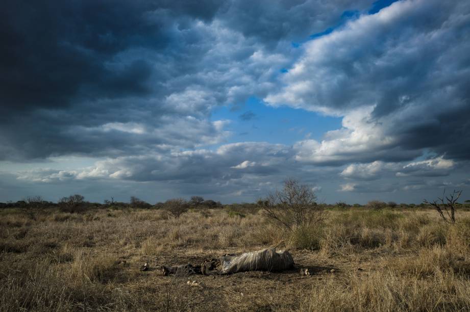 <a href="https://viajeaqui.abril.com.br/estabelecimentos/br-rj-rio-de-janeiro-restaurante-bar-lagoa" rel="Bar Lagoa, Rio de Janeiro:" target="_blank"><strong>Bar Lagoa, Rio de Janeiro:</strong></a> A vista para a Lagoa Rodrigo de Freitas é um atrativo. Os pratos alemães estão no cardápio desde 1934, quando o bar ainda se chamava Berlim. <a href="https://viajeaqui.abril.com.br/estabelecimentos/br-rj-rio-de-janeiro-restaurante-bar-lagoa" rel="Bar Lagoa, Rio de Janeiro:" target="_blank"><strong>Bar Lagoa, Rio de Janeiro:</strong></a> A vista para a Lagoa Rodrigo de Freitas é um atrativo. Os pratos alemães estão no cardápio desde 1934, quando o bar ainda se chamava Berlim.