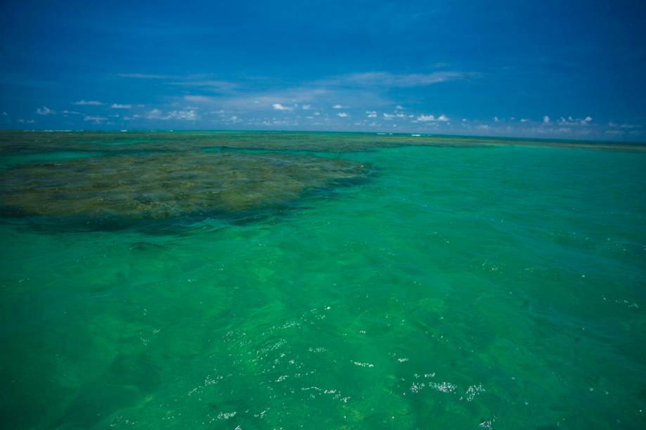 O mar de São Miguel dos Milagres é verde-claro, morno e sem ondas, com os recifes característicos da Costa dos Corais. Há um banco de corais na Praia de Porto da Rua O mar de São Miguel dos Milagres é verde-claro, morno e sem ondas, com os recifes característicos da Costa dos Corais. Há um banco de corais na Praia de Porto da Rua