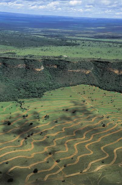 Vista aérea do Parque Nacional da Chapada dos Guimarães, rico em formações rochosas e cachoeiras