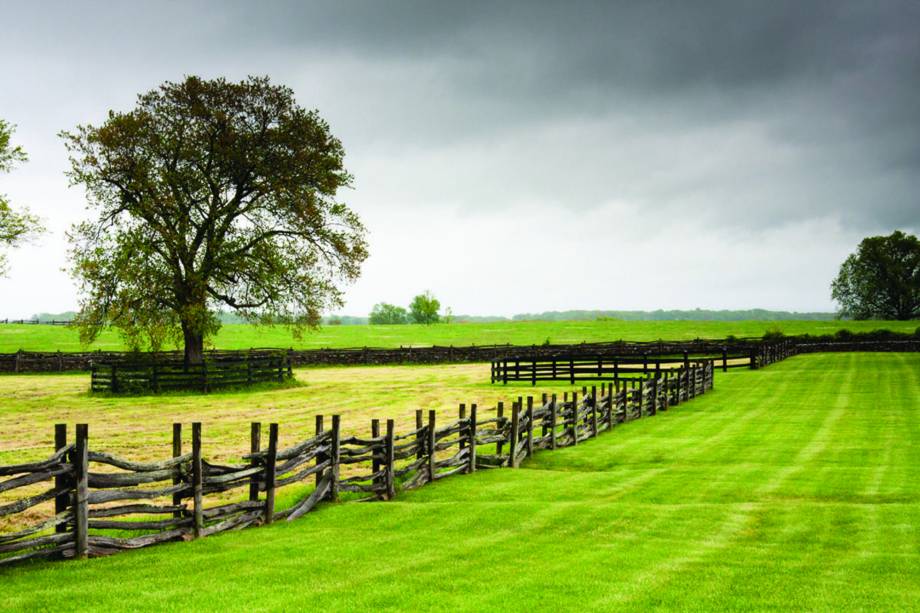 O estado da Virginia, nos Estados Unidos, recebe o Historic Garden Week entre 18 e 25 de abril