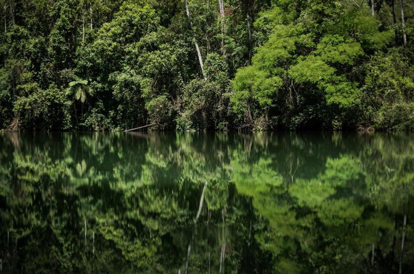 O Viaduto Santa Ifigênia, em estilo art nouveau O Viaduto Santa Ifigênia, em estilo art nouveau