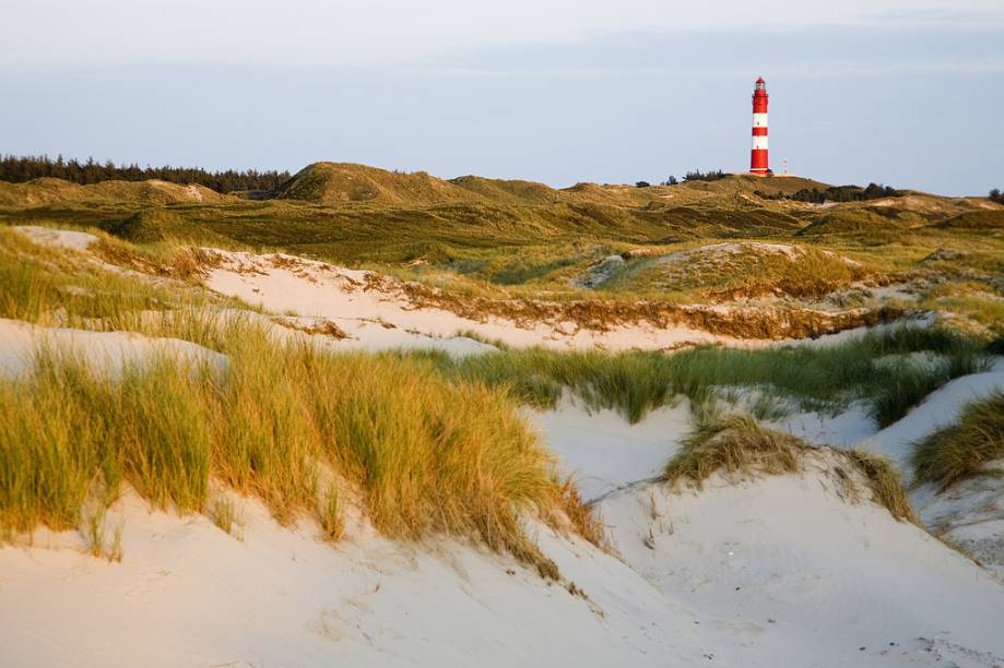 A ilha tem 80 mil metros quadrados de área para <strong>camping de nudismo</strong>, rodeada de dunas de até 32 metros de altura. Longe de ser apenas praia e mar, Amrum tem museus, uma igreja e um farol que podem ser visitados. Ela é banhada pelo <strong>Mar Frísio</strong>, declarado Patrimônio Mundial pela Unesco, e a praia nudista <strong>Kniepsand</strong> fica próxima ao acampamento