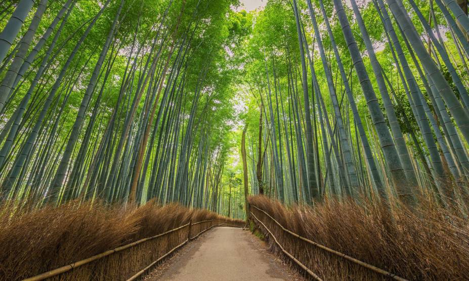 <strong>6. Arashiyama Forest, <a href="https://viajeaqui.abril.com.br/cidades/japao-kyoto" rel="Kyoto" target="_self">Kyoto</a>, <a href="https://viajeaqui.abril.com.br/paises/japao" rel="Japão" target="_self">Japão</a></strong> Caminhar pelas trilhas dessa linda floresta japonesa é um programa perfeito para fazer a dois, com árvores de bambu formando um cenário impressionante, que só melhora com o pôr do Sol. A planta, aliás, tem uma relação muito próxima aos japoneses há séculos: a cultura desse povo a aponta como símbolo de força. Uma de suas lendas fala sobre um cortador de bambu, que teria encontrado uma criança entre seus caules durante um dia de trabalho. No lugar onde a planta foi retirada, cresceu ouro – e a família adotiva da menina prosperou. Com o passar dos anos, a beleza da jovem cativou um imperador, que desejava desposá-la. No entanto, descobriu-se que ela era, na verdade, a Princesa Kaguya – enviada pelos povos da Lua para cumprir uma missão temporária na Terra. Sua partida deixou o imperador tão desolado que ele teria abdicado de sua imortalidade na esperança de reencontrá-la algum dia. Mais fofo, impossível. <strong>6. Arashiyama Forest, <a href="https://viajeaqui.abril.com.br/cidades/japao-kyoto" rel="Kyoto" target="_self">Kyoto</a>, <a href="https://viajeaqui.abril.com.br/paises/japao" rel="Japão" target="_self">Japão</a></strong> Caminhar pelas trilhas dessa linda floresta japonesa é um programa perfeito para fazer a dois, com árvores de bambu formando um cenário impressionante, que só melhora com o pôr do Sol. A planta, aliás, tem uma relação muito próxima aos japoneses há séculos: a cultura desse povo a aponta como símbolo de força. Uma de suas lendas fala sobre um cortador de bambu, que teria encontrado uma criança entre seus caules durante um dia de trabalho. No lugar onde a planta foi retirada, cresceu ouro – e a família adotiva da menina prosperou. Com o passar dos anos, a beleza da jovem cativou um imperador, que desejava desposá-la. No entanto, descobriu-se que ela era, na verdade, a Princesa Kaguya – enviada pelos povos da Lua para cumprir uma missão temporária na Terra. Sua partida deixou o imperador tão desolado que ele teria abdicado de sua imortalidade na esperança de reencontrá-la algum dia. Mais fofo, impossível.