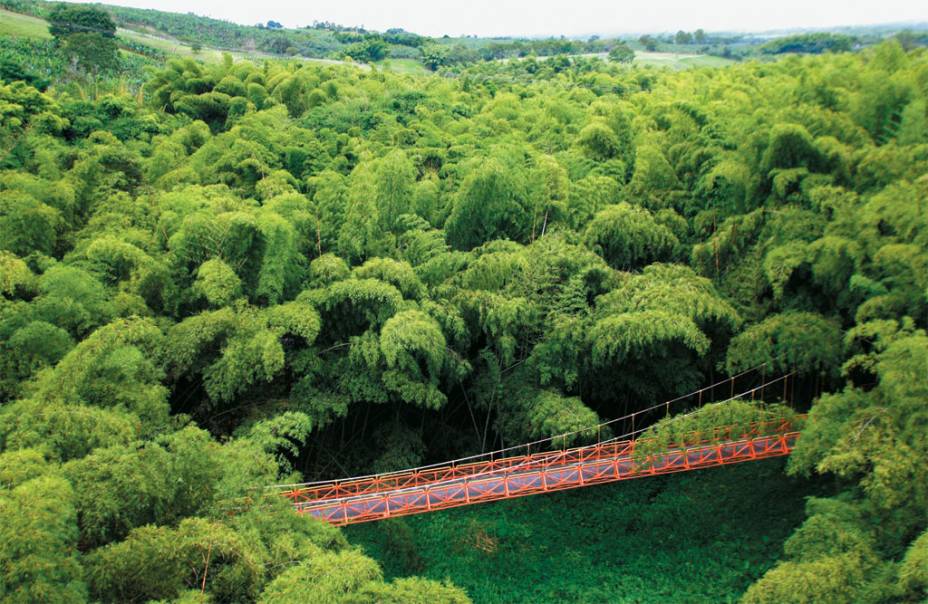 A imensa área verde do <strong>Parque Nacional del Café</strong>, perto de Armenia