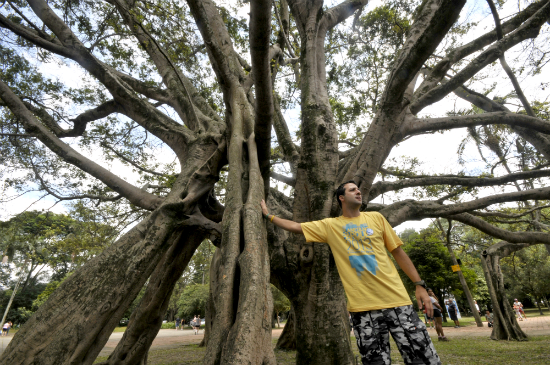 Diego Sanchez, biólogo da SOS Ambiental, mostra uma figueira microcarpa, localizada perto do Viveiro Manequinho Lopes, no Parque do Ibirapuera, em São Paulo. Árvores como essa enriquecem a biodiversidade do local