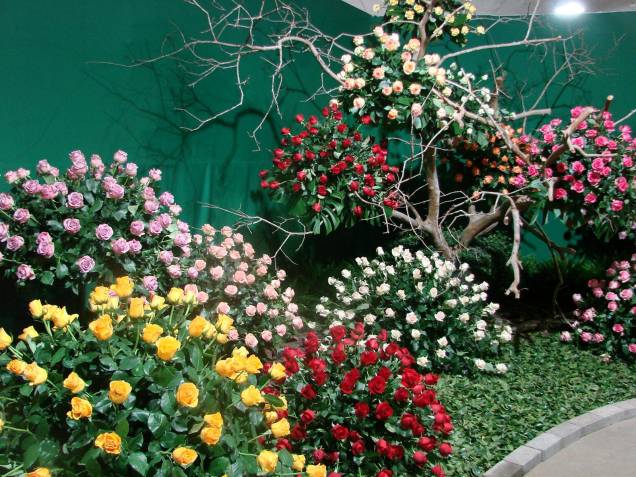 Flores expostas na Festa de Flores e Morangos de Atibaia - edção de 2012 Flores expostas na Festa de Flores e Morangos de Atibaia - edção de 2012