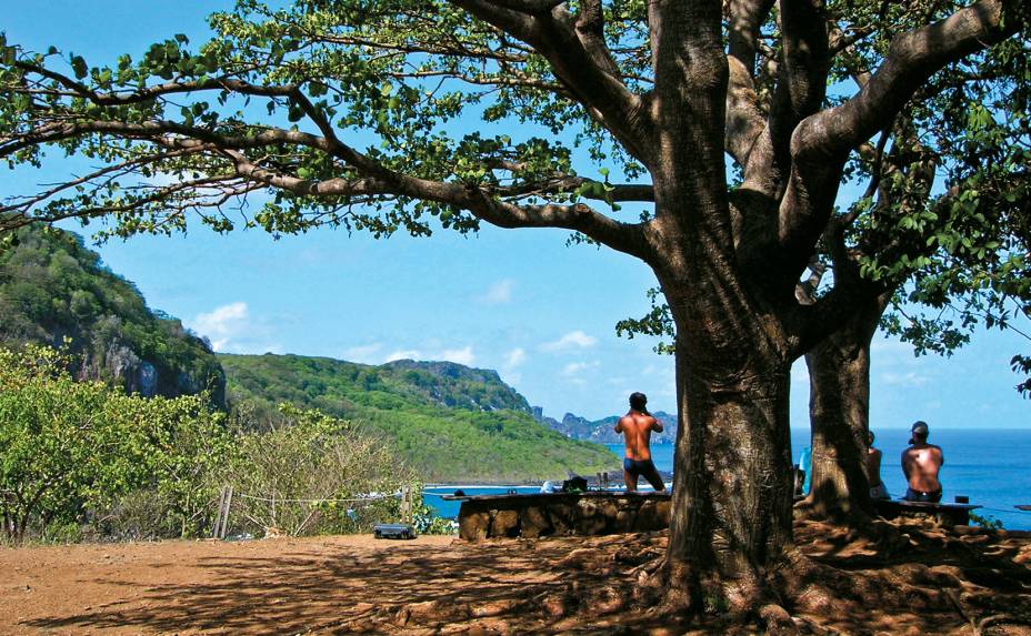 <a href="https://viajeaqui.abril.com.br/estabelecimentos/br-pe-fernando-de-noronha-atracao-baia-dos-golfinhos"><strong>Mirante da Baía dos Golfinhos</strong></a>Para cá você pode vir por conta própria (ônibus, táxi ou veículo alugado). Uma trilha curta (1 km) a partir do estacionamento da Baía do Sancho leva até o mirante da Baía dos Golfinhos. É preciso acordar cedo para observar os saltos acrobáticos dos golfinhos-rotadores, pois o melhor horário é das 6h às 7h30. Mas não se empolgue demais: você vai avistá-los bem de longe. Binóculos são necessários. Leve os seus ou pegue emprestado dos biólogos de plantão, caso eles estejam por lá.