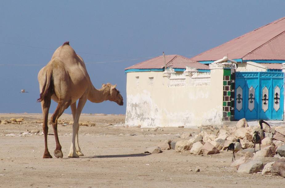 <strong>BERBERA </strong>Associada ao caos, à violência e a piratas, a Somália é sem duvida um lugar perigoso, mas um pouco mais complexo do que a mídia noticia: atualmente, dentro do território somali, existe um local chamado República da Somalilândia que, apesar de não reconhecido como nação por muitos países do mundo, tem um governo próprio (totalmente descolado de Mogadíscio) e um cenário relativamente seguro para turistas.