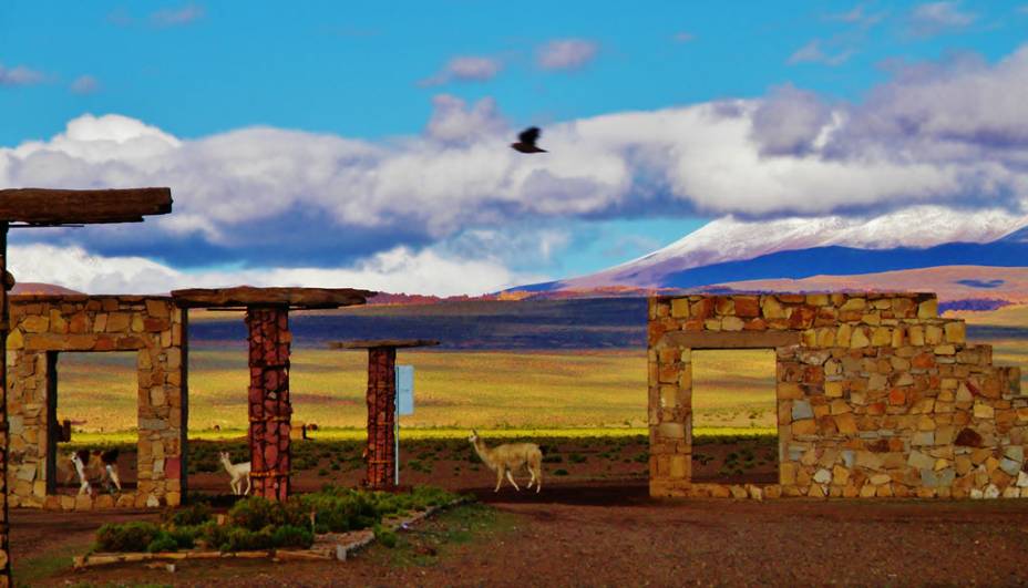 Lhamas cruzam a entrada do Villarejo de Allota, <a href="https://viajeaqui.abril.com.br/cidades/bolivia-uyuni" rel="Uyun" target="_self">Uyun</a>, <a href="https://viajeaqui.abril.com.br/paises/bolivia" rel="Bolivia" target="_self">Bolivia</a>