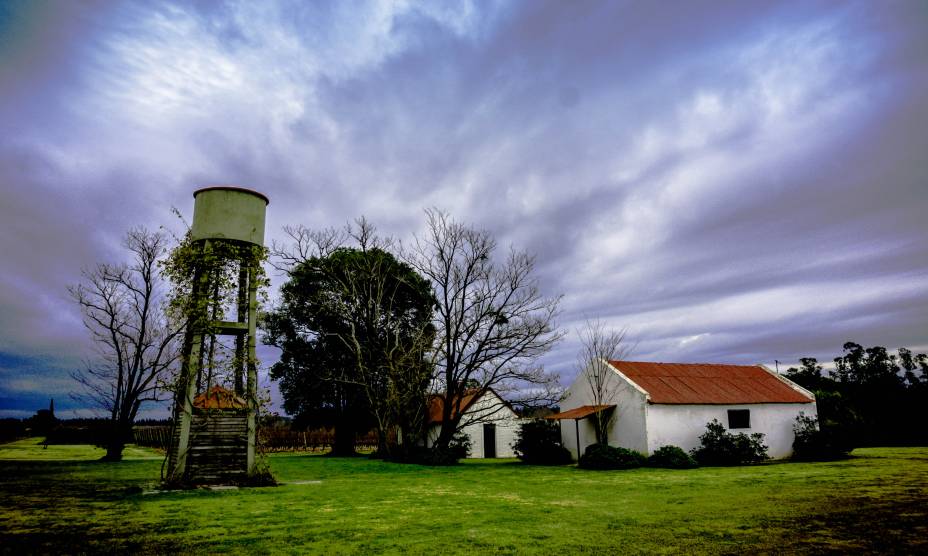 <strong><a href="https://www.bodegabouza.com/" rel="19. Bodega Bouza" target="_blank">19. Bodega Bouza</a> (<a href="https://viajeaqui.abril.com.br/cidades/uruguai-montevideu" rel="Montevidéu" target="_self">Montevidéu</a>, <a href="https://viajeaqui.abril.com.br/paises/uruguai" rel="Uruguai" target="_self">Uruguai</a>) </strong>    Localizada a apenas 25 km do Centro de Montevidéu, a Bouza é considerada uma das maiores vinícolas do país, com média de produção de 100 mil garrafas por ano. As plantações, espalhadas por cerca de 23 hectares, concentram uvas Merlot, Chardonnay, Albariño, Trempanillo e Tannat. A propriedade também concentra diversos modelos de carros antigos – um bônus para os viajantes.