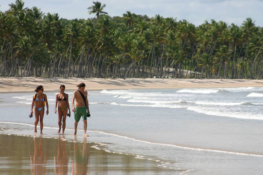 <strong>2. <a href="https://viajeaqui.abril.com.br/estabelecimentos/br-ba-ilha-de-boipeba-atracao-praia-cueira" target="_blank" rel="noopener">Praia da Cueira</a> – <a href="https://viajeaqui.abril.com.br/cidades/br-ba-ilha-de-boipeba" target="_blank" rel="noopener">Boipeba (BA)</a></strong>Na Ilha de Boipeba não entram carros, o que colabora para o sossego – e exige que os visitantes caminhem até chegar às praias. Com mar tranquilo, a Praia da Cueira é a melhor para banho. Lá está a barraca do Seu Guido, famosa por suas lagostas. <a href="https://www.booking.com/searchresults.pt-br.html?aid=332455&lang=pt-br&sid=eedbe6de09e709d664615ac6f1b39a5d&sb=1&src=searchresults&src_elem=sb&error_url=https%3A%2F%2Fwww.booking.com%2Fsearchresults.pt-br.html%3Faid%3D332455%3Bsid%3Deedbe6de09e709d664615ac6f1b39a5d%3Bclass_interval%3D1%3Bdest_id%3D900040389%3Bdest_type%3Dcity%3Bdtdisc%3D0%3Bfrom_sf%3D1%3Bgroup_adults%3D2%3Bgroup_children%3D0%3Binac%3D0%3Bindex_postcard%3D0%3Blabel_click%3Dundef%3Bno_rooms%3D1%3Boffset%3D0%3Bpostcard%3D0%3Braw_dest_type%3Dcity%3Broom1%3DA%252CA%3Bsb_price_type%3Dtotal%3Bsearch_selected%3D1%3Bsrc%3Dsearchresults%3Bsrc_elem%3Dsb%3Bss%3DMorro%2520de%2520S%25C3%25A3o%2520Paulo%252C%2520%25E2%2580%258BBahia%252C%2520%25E2%2580%258BBrasil%3Bss_all%3D0%3Bss_raw%3DMorro%2520de%2520S%25C3%25A3o%2520Paulo%3Bssb%3Dempty%3Bsshis%3D0%3Bssne_untouched%3DBahia%26%3B&ss=Ilha+de+Boipeba%2C+%E2%80%8BBahia%2C+%E2%80%8BBrasil&ssne=Morro+de+S%C3%A3o+Paulo&ssne_untouched=Morro+de+S%C3%A3o+Paulo&city=900040389&checkin_monthday=&checkin_month=&checkin_year=&checkout_monthday=&checkout_month=&checkout_year=&no_rooms=1&group_adults=2&group_children=0&from_sf=1&ss_raw=Boipeba&ac_position=0&ac_langcode=xb&dest_id=-678564&dest_type=city&search_pageview_id=b72a8d854022011b&search_selected=true&search_pageview_id=b72a8d854022011b&ac_suggestion_list_length=5&ac_suggestion_theme_list_length=0" target="_blank" rel="noopener"><em>Busque hospedagens em Boipeba no Booking.com</em></a>