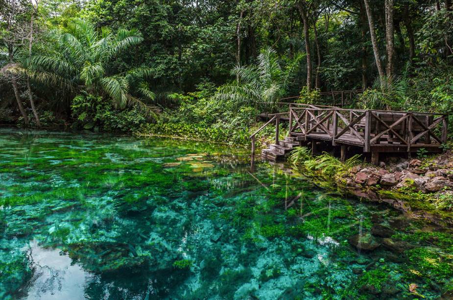 Em Bonito, ninguém põe o pé sem antes fazer reserva, pagar taxa de visita e contratar um guia. Mesmo com toda a estrutura disponível aos turistas, muitos atrativos parecem intocados. É o caso do Rio Sucuri, na foto. <a href="https://www.booking.com/searchresults.pt-br.html?aid=332455&lang=pt-br&sid=eedbe6de09e709d664615ac6f1b39a5d&sb=1&src=index&src_elem=sb&error_url=https%3A%2F%2Fwww.booking.com%2Findex.pt-br.html%3Faid%3D332455%3Bsid%3Deedbe6de09e709d664615ac6f1b39a5d%3Bsb_price_type%3Dtotal%26%3B&ss=Bonito%2C+%E2%80%8BMato+Grosso+do+Sul%2C+%E2%80%8BBrasil&checkin_monthday=&checkin_month=&checkin_year=&checkout_monthday=&checkout_month=&checkout_year=&no_rooms=1&group_adults=2&group_children=0&from_sf=1&ss_raw=Bonito&ac_position=0&ac_langcode=xb&dest_id=-630754&dest_type=city&search_pageview_id=a2936fe0ebda0574&search_selected=true&search_pageview_id=a2936fe0ebda0574&ac_suggestion_list_length=5&ac_suggestion_theme_list_length=0&district_sel=0&airport_sel=0&landmark_sel=0" target="_blank" rel="noopener"><em>Busque hospedagens em Bonito</em></a>