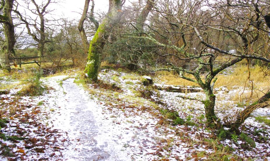 <strong>25. Bosque de Frith, <a href="https://viajeaqui.abril.com.br/paises/reino-unido?iframe=true" rel="Reino Unido" target="_self">Reino Unido</a></strong> A história desse lugar é carregada de mistérios. Durante o século 19, a Greenlaw House, localizada em seus arredores, serviu de cárcere para soldados franceses capturados durante a Guerra Napoleônica. Uma mulher da região teria se apaixonado por um desses prisioneiros, posteriormente assassinado por seu pai e irmão. Pouco tempo depois, ela veio a falecer – possivelmente pelas suas próprias mãos. Seu espírito ainda sondaria a floresta, e algumas pessoas alegam que dá pra ouvir seus soluços ou até mesmo ver seu vulto correndo freneticamente por entre as árvores. <strong>25. Bosque de Frith, <a href="https://viajeaqui.abril.com.br/paises/reino-unido?iframe=true" rel="Reino Unido" target="_self">Reino Unido</a></strong> A história desse lugar é carregada de mistérios. Durante o século 19, a Greenlaw House, localizada em seus arredores, serviu de cárcere para soldados franceses capturados durante a Guerra Napoleônica. Uma mulher da região teria se apaixonado por um desses prisioneiros, posteriormente assassinado por seu pai e irmão. Pouco tempo depois, ela veio a falecer – possivelmente pelas suas próprias mãos. Seu espírito ainda sondaria a floresta, e algumas pessoas alegam que dá pra ouvir seus soluços ou até mesmo ver seu vulto correndo freneticamente por entre as árvores.