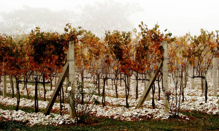 <a href="https://viajeaqui.abril.com.br/cidades/br-rs-bento-goncalves" rel="3. Bento Gonçalves (RS)" target="_self"><strong>1. Bento Gonçalves (RS)</strong></a> Aqui, as vinícolas são as grandes protagonistas, com diversas opções de passeios e degustações <a href="https://viajeaqui.abril.com.br/cidades/br-rs-bento-goncalves" rel="3. Bento Gonçalves (RS)" target="_self"><strong>1. Bento Gonçalves (RS)</strong></a> Aqui, as vinícolas são as grandes protagonistas, com diversas opções de passeios e degustações