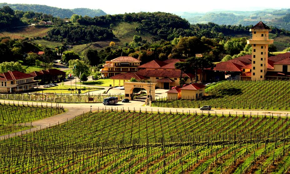 <a href="https://viajeaqui.abril.com.br/cidades/br-rs-bento-goncalves" rel="3. Bento Gonçalves (RS)" target="_self"><strong>1. Bento Gonçalves (RS)</strong></a> Vale um pulo na <a href="https://viajeaqui.abril.com.br/estabelecimentos/br-rs-bento-goncalves-atracao-casa-valduga" rel="Casa Valduga" target="_self">Casa Valduga</a> e na <strong><a href="https://viajeaqui.abril.com.br/estabelecimentos/br-rs-bento-goncalves-atracao-miolo" rel="Miolo" target="_self">Miolo</a> (foto)</strong>, inclusas no roteiro do <a href="https://viajeaqui.abril.com.br/estabelecimentos/br-rs-bento-goncalves-atracao-vale-dos-vinhedos" rel="Vale dos Vinhedos" target="_self">Vale dos Vinhedos</a> – que oferece lindas paisagens ao turista <a href="https://viajeaqui.abril.com.br/cidades/br-rs-bento-goncalves" rel="3. Bento Gonçalves (RS)" target="_self"><strong>1. Bento Gonçalves (RS)</strong></a> Vale um pulo na <a href="https://viajeaqui.abril.com.br/estabelecimentos/br-rs-bento-goncalves-atracao-casa-valduga" rel="Casa Valduga" target="_self">Casa Valduga</a> e na <strong><a href="https://viajeaqui.abril.com.br/estabelecimentos/br-rs-bento-goncalves-atracao-miolo" rel="Miolo" target="_self">Miolo</a> (foto)</strong>, inclusas no roteiro do <a href="https://viajeaqui.abril.com.br/estabelecimentos/br-rs-bento-goncalves-atracao-vale-dos-vinhedos" rel="Vale dos Vinhedos" target="_self">Vale dos Vinhedos</a> – que oferece lindas paisagens ao turista