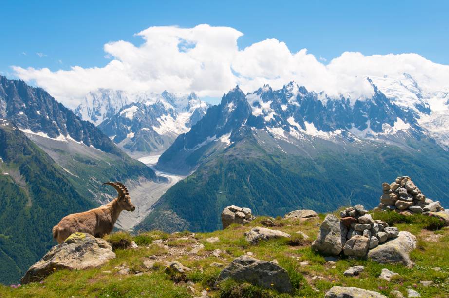 <strong>3. <a href="https://viajeaqui.abril.com.br/cidades/franca-alpes-franceses" rel="TOUR DU MONT BLANC" target="_blank">TOUR DU MONT BLANC</a></strong>    "Teto da Europa Ocidental", o Mont Blanc (4 810 metros, ao fundo da foto) é o cenário de um trekking famoso, em volta da base da montanha. O percurso, que exige experiência em longas caminhadas, passa pelas fronteiras da <a href="https://viajeaqui.abril.com.br/paises/franca" rel="França" target="_blank">França</a>, <a href="https://viajeaqui.abril.com.br/paises/italia" rel="Itália" target="_blank">Itália</a> e <a href="https://viajeaqui.abril.com.br/paises/suica" rel="Suíça" target="_blank">Suíça</a>. Após três noites na francesinha <a href="https://viajeaqui.abril.com.br/materias/esqui-e-vida-selvagem-na-francesa-chamonix" rel="Chamonix" target="_blank">Chamonix</a>, as cinco noites da pernada programam paradas em Vale du Chapieux, Chécrouit, Courmayeur, La Fouly e Trelechamps, com hospedagem em quartos coletivos de refúgios monteses. Ao final da viagem, há mais duas noites em <a href="https://viajeaqui.abril.com.br/materias/esqui-e-vida-selvagem-na-francesa-chamonix" rel="Chamonix" target="_blank">Chamonix</a>. Inclui quatro jantares.    <strong>Quando:</strong> até setembro    <strong>Quem leva:</strong> <a href="https://www.adventureclub.com.br/" rel="Adventure" target="_blank">Adventure</a>    <strong>Quanto:</strong> € 3 190