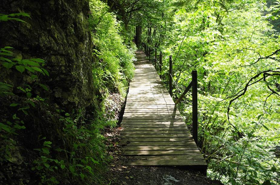 <strong>Bike Park Leogang, <a href="https://viajeaqui.abril.com.br/paises/austria" target="_blank" rel="noopener">Áustria</a></strong> Para quem não está disposto a encarar os riscos de pedalar por desfiladeiros, o país tem o Bike Park Leogang, em Salzburg, a cerca de 170 quilômetros de Mitterbach. A atração permite a ciclistas com diferentes níveis de habilidade pratiquem mountain bike em rampas e obstáculos. A trilha mais popular é a Speedster, com 2,3 quilômetros de extensão em declive. A primavera, entre abril e junho, é a melhor estação para visitar o país.