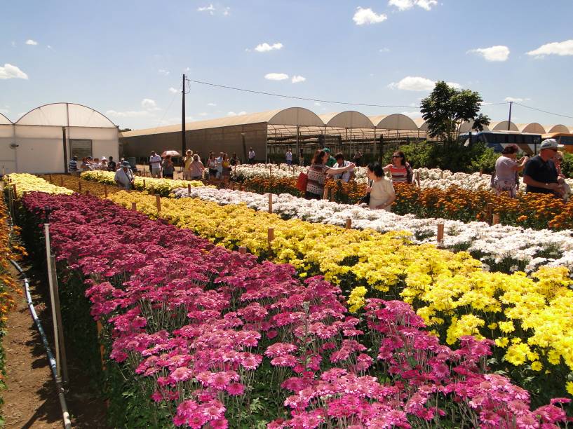 O evento é considerado o maior da América Latina voltado para o setor da floricultura