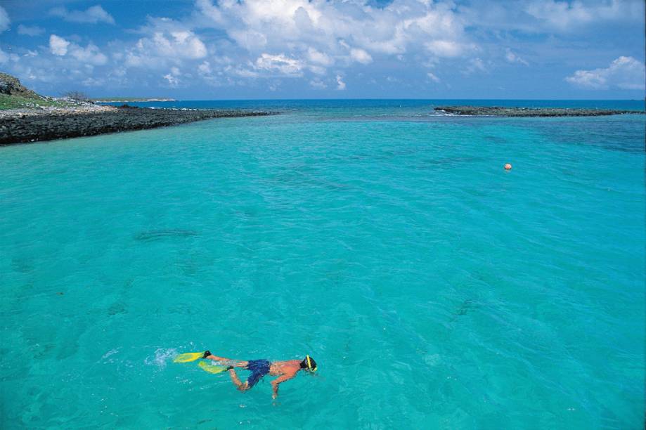 Mergulho no <strong><a href="https://viajeaqui.abril.com.br/estabelecimentos/br-ba-caravelas-atracao-parque-nacional-marinho-dos-abrolhos" rel="Parque Nacional Marinho de Abrolhos" target="_self">Parque Nacional Marinho de Abrolhos</a></strong>, <a href="https://viajeaqui.abril.com.br/estados/br-bahia" rel="Bahia" target="_self">Bahia</a>