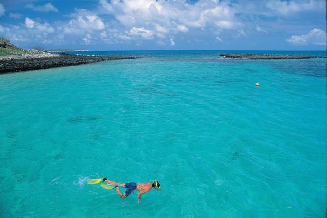 <strong><a href="https://preprod.viagemeturismo.abril.com.br/tudo-sobre/bahia/" target="_blank" rel="noopener">Caravelas (BA)</a></strong> <strong><a href="https://preprod.viagemeturismo.abril.com.br/tudo-sobre/bahia/" target="_blank" rel="noopener">Caravelas (BA)</a></strong>