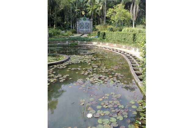 O cantinho preferido de Cintia Tamanaha em São Paulo é o portal que fica logo atrás do lago no Jardim Botânico da cidade O cantinho preferido de Cintia Tamanaha em São Paulo é o portal que fica logo atrás do lago no Jardim Botânico da cidade